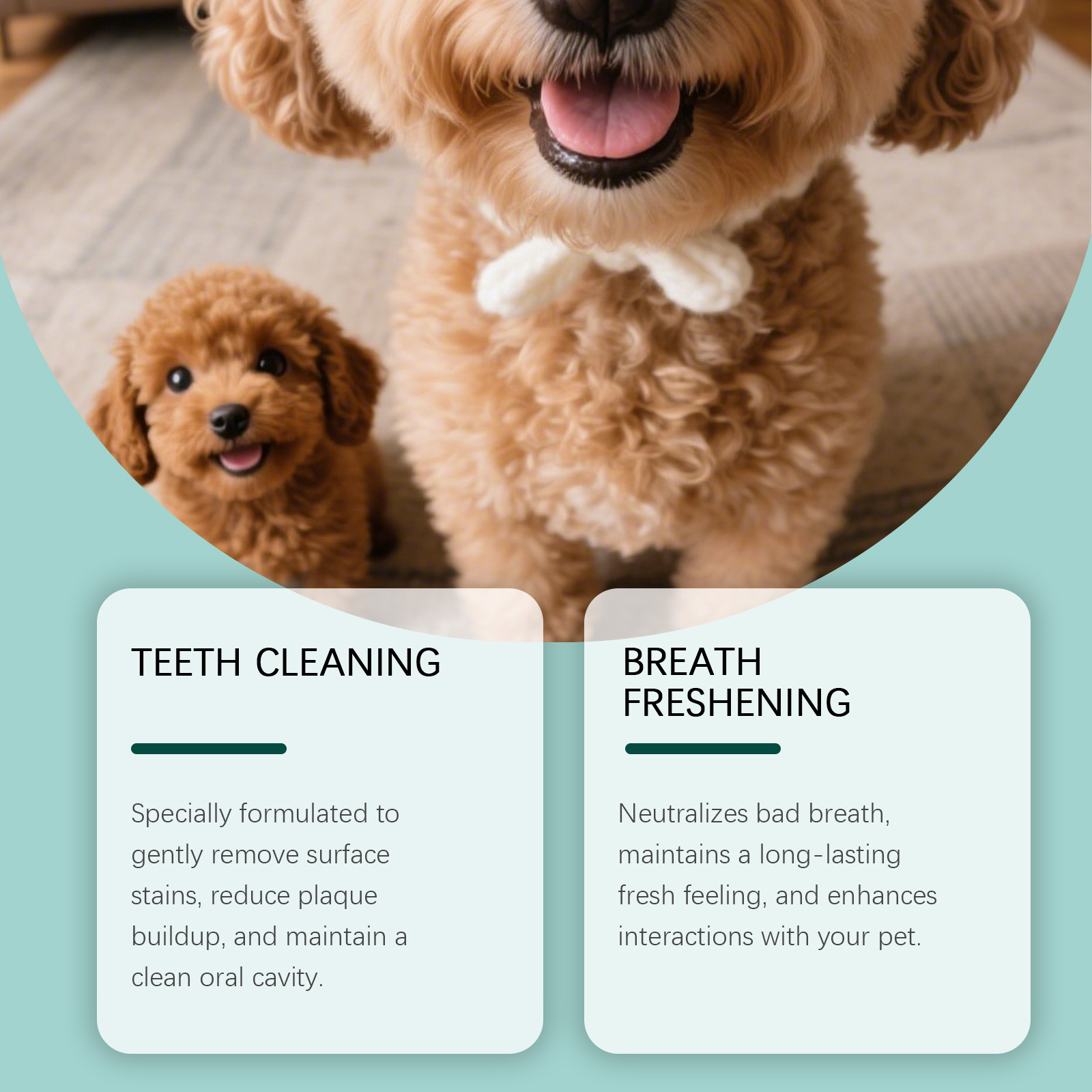 Dog Tooth Cleaning Powder Plaq - Teeth Whitening Powder ulasan dan harga