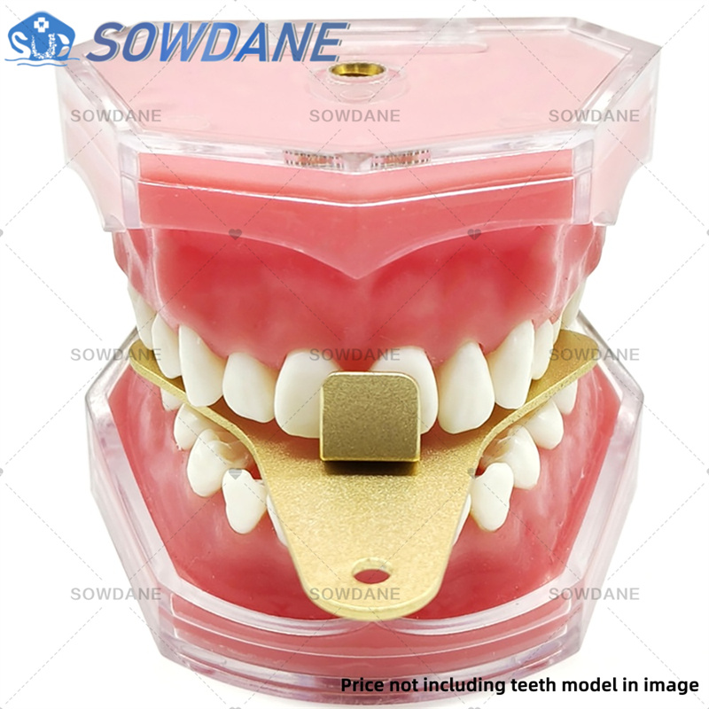 Dental Lab Impression Trays to - Teeth Whitening Trays ulasan dan harga