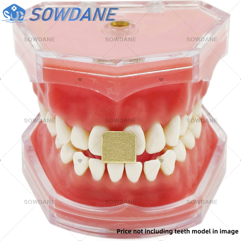 Dental Lab Impression Trays to - Teeth Whitening Trays ulasan dan harga
