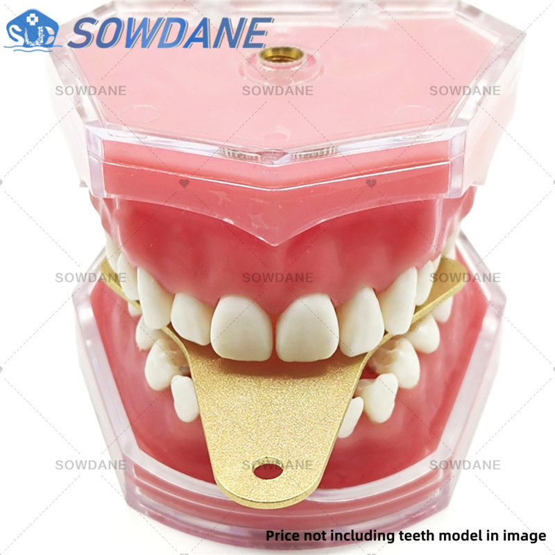 Dental Lab Impression Trays to - Teeth Whitening Trays ulasan dan harga