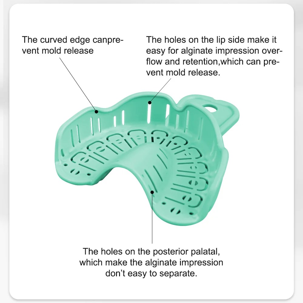 6pcs Dental Implant Tray Green - Teeth Whitening Trays ulasan dan harga
