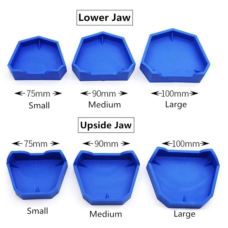 6pcs/set Dental Model Base Sil - Teeth Whitening Trays ulasan dan harga