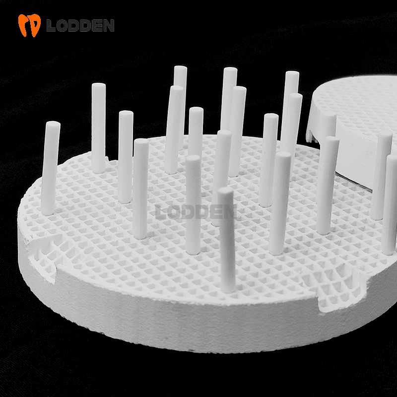 LODDEN Ceramic Honeycomb Firin - Teeth Whitening Trays ulasan dan harga