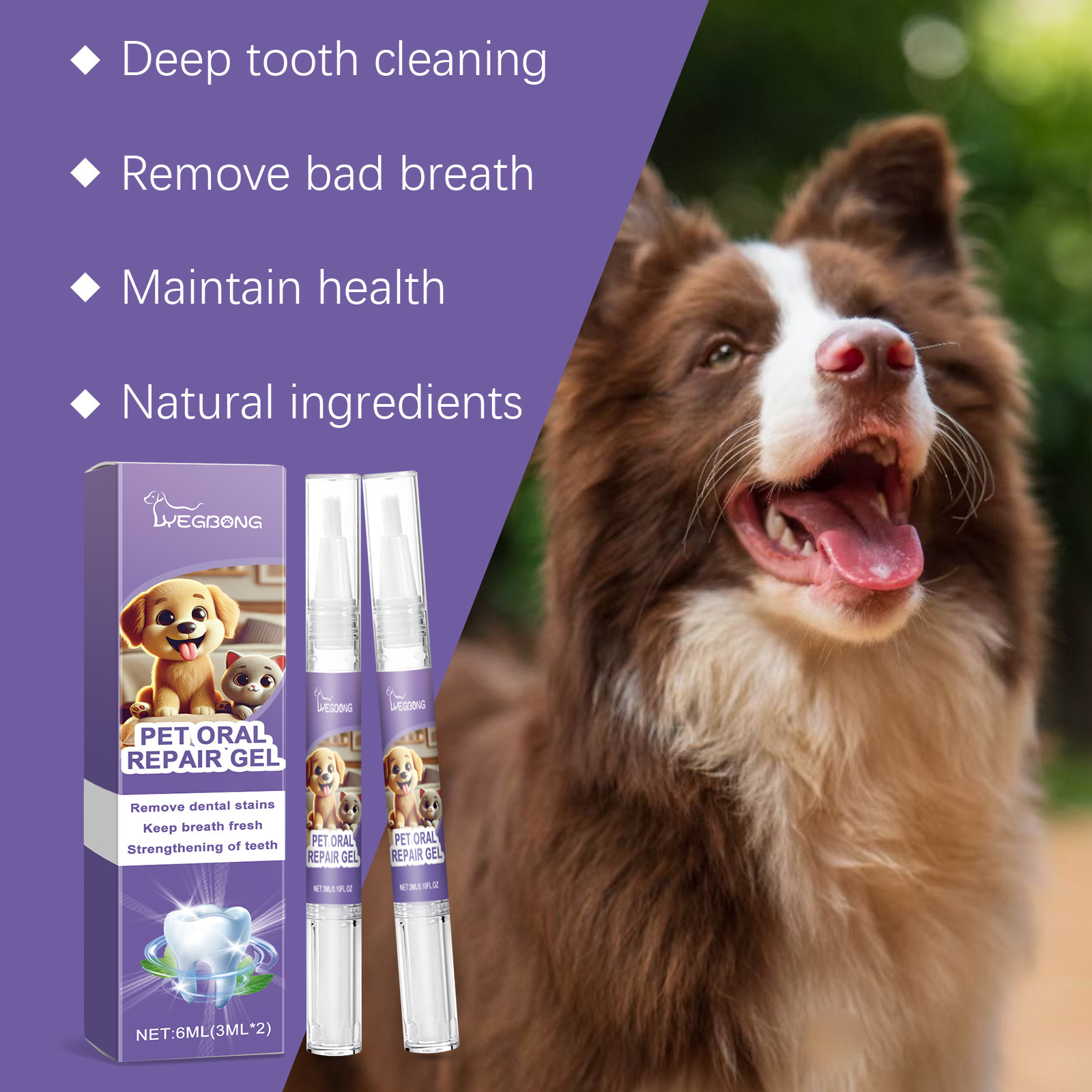 12pcs Pet Toothbrush Pen Denta - Teeth Whitening Pens ulasan dan harga